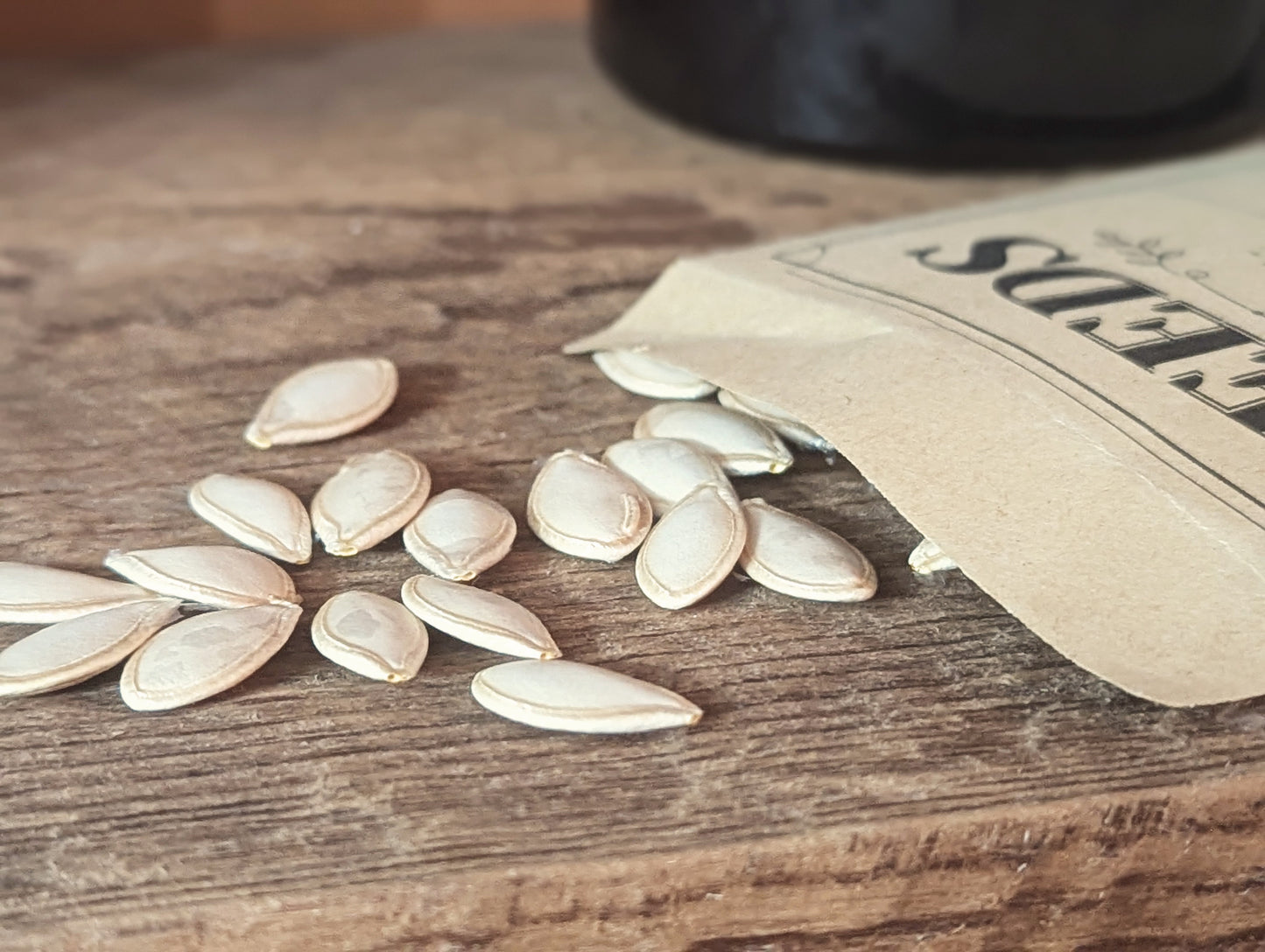 Sugar Pie Pumpkin seeds