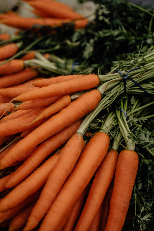 Tendersweet Carrot seeds